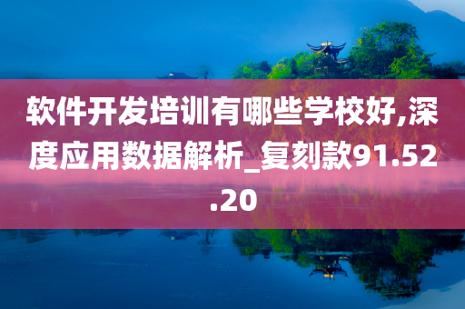 软件开发培训有哪些学校好,深度应用数据解析_复刻款91.52.20