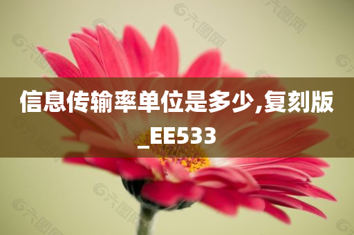 信息传输率单位是多少,复刻版_EE533