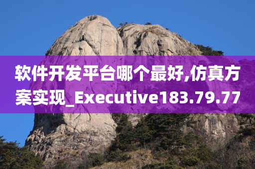 软件开发平台哪个最好,仿真方案实现_Executive183.79.77