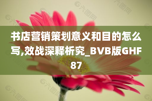 书店营销策划意义和目的怎么写,效战深释析究_BVB版GHF87