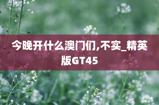 今晚开什么澳门们,不实_精英版GT45