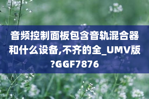 音频控制面板包含音轨混合器和什么设备,不齐的全_UMV版?GGF7876