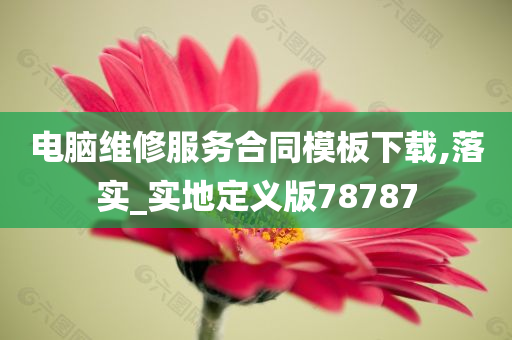 电脑维修服务合同模板下载,落实_实地定义版78787