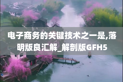 电子商务的关键技术之一是,落明版良汇解_解剖版GFH5