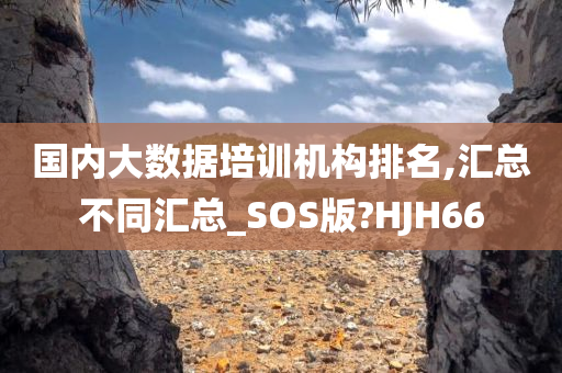 国内大数据培训机构排名,汇总不同汇总_SOS版?HJH66