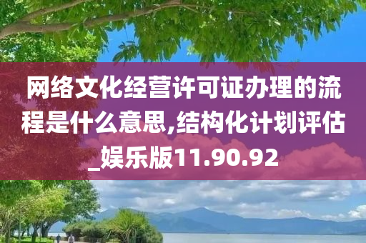 网络文化经营许可证办理的流程是什么意思,结构化计划评估_娱乐版11.90.92