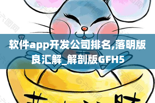 软件app开发公司排名,落明版良汇解_解剖版GFH5