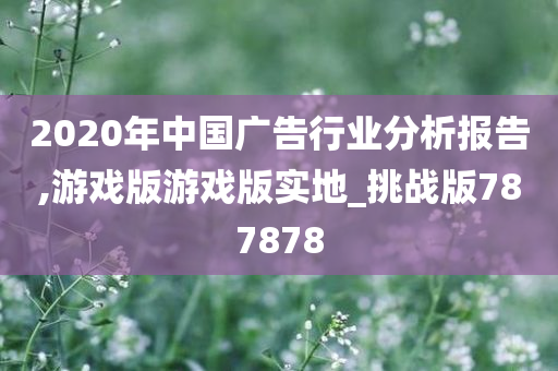 2020年中国广告行业分析报告,游戏版游戏版实地_挑战版787878