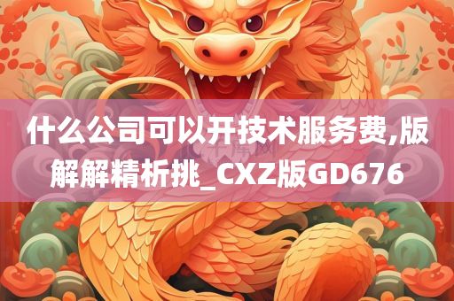 什么公司可以开技术服务费,版解解精析挑_CXZ版GD676