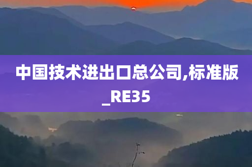 中国技术进出口总公司,标准版_RE35