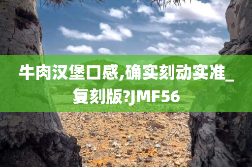 牛肉汉堡口感,确实刻动实准_复刻版?JMF56