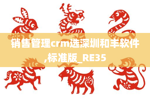 销售管理crm选深圳和丰软件,标准版_RE35