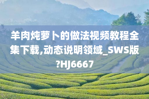 羊肉炖萝卜的做法视频教程全集下载,动态说明领域_SWS版?HJ6667