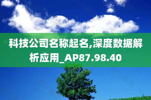 科技公司名称起名,深度数据解析应用_AP87.98.40