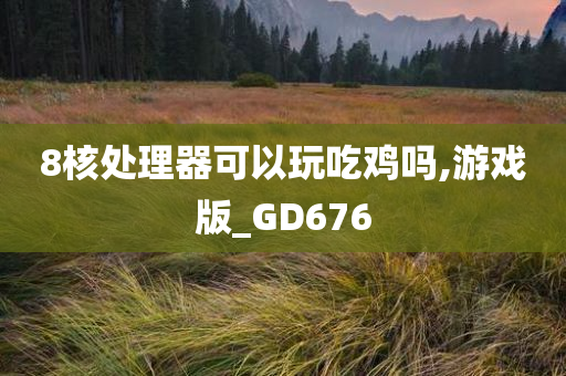 8核处理器可以玩吃鸡吗,游戏版_GD676