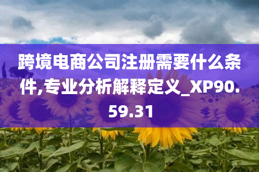 跨境电商公司注册需要什么条件,专业分析解释定义_XP90.59.31