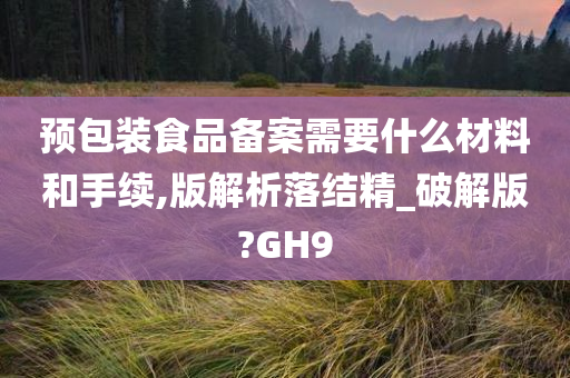 预包装食品备案需要什么材料和手续,版解析落结精_破解版?GH9