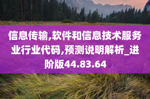 信息传输,软件和信息技术服务业行业代码,预测说明解析_进阶版44.83.64