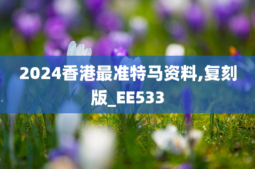 2024香港最准特马资料,复刻版_EE533