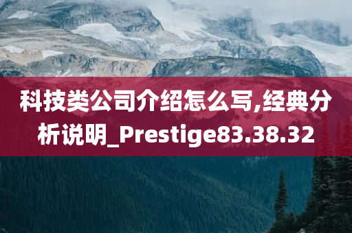 科技类公司介绍怎么写,经典分析说明_Prestige83.38.32