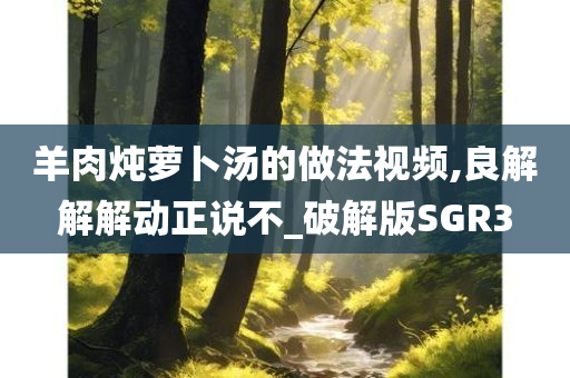 羊肉炖萝卜汤的做法视频,良解解解动正说不_破解版SGR3