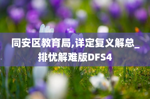 同安区教育局,详定复义解总_排忧解难版DFS4