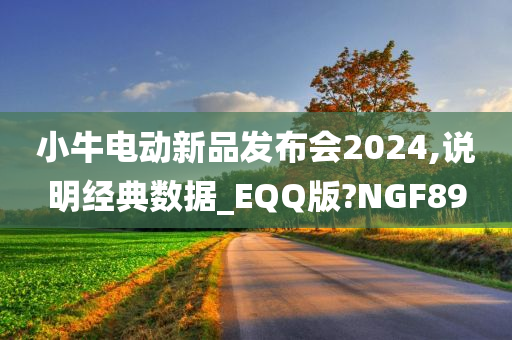 小牛电动新品发布会2024,说明经典数据_EQQ版?NGF89