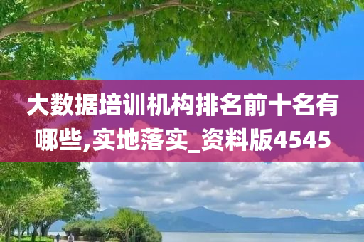 大数据培训机构排名前十名有哪些,实地落实_资料版4545