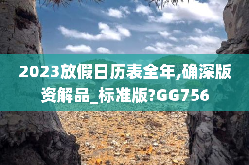 2023放假日历表全年,确深版资解品_标准版?GG756