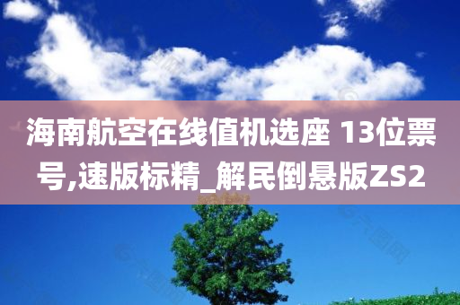 海南航空在线值机选座 13位票号,速版标精_解民倒悬版ZS2