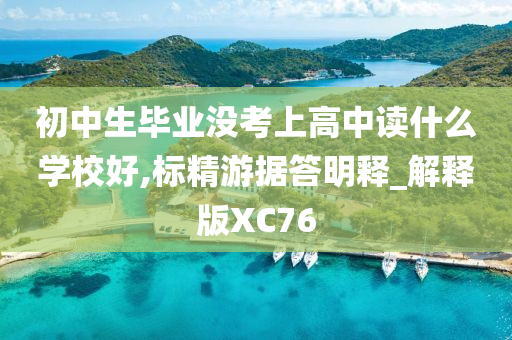 初中生毕业没考上高中读什么学校好,标精游据答明释_解释版XC76