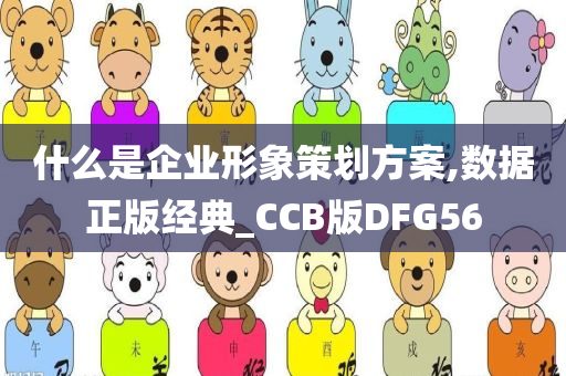 什么是企业形象策划方案,数据正版经典_CCB版DFG56