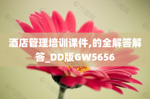 酒店管理培训课件,的全解答解答_DD版GW5656