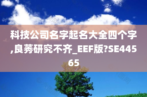 科技公司名字起名大全四个字,良莠研究不齐_EEF版?SE44565