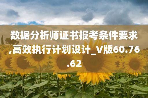 数据分析师证书报考条件要求,高效执行计划设计_V版60.76.62