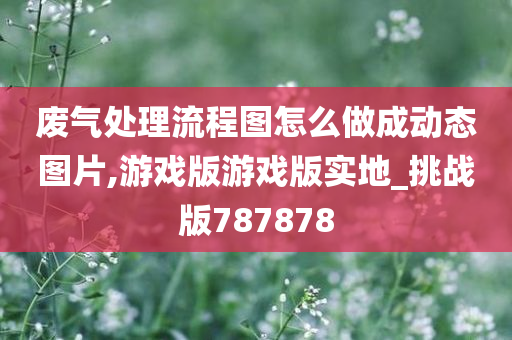 废气处理流程图怎么做成动态图片,游戏版游戏版实地_挑战版787878