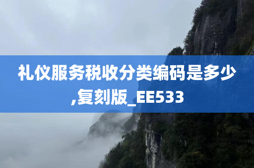 礼仪服务税收分类编码是多少,复刻版_EE533