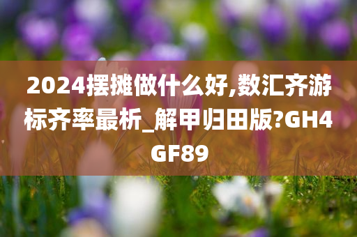 2024摆摊做什么好,数汇齐游标齐率最析_解甲归田版?GH4GF89