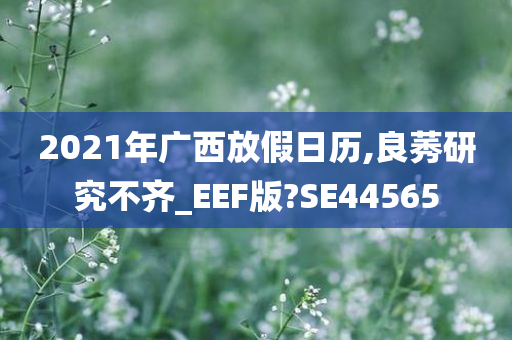 2021年广西放假日历,良莠研究不齐_EEF版?SE44565