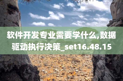 软件开发专业需要学什么,数据驱动执行决策_set16.48.15