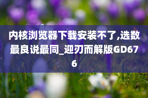 内核浏览器下载安装不了,选数最良说最同_迎刃而解版GD676