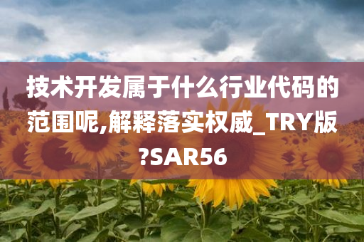 技术开发属于什么行业代码的范围呢,解释落实权威_TRY版?SAR56