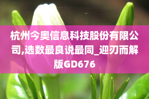 杭州今奥信息科技股份有限公司,选数最良说最同_迎刃而解版GD676