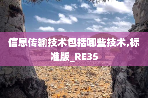 信息传输技术包括哪些技术,标准版_RE35