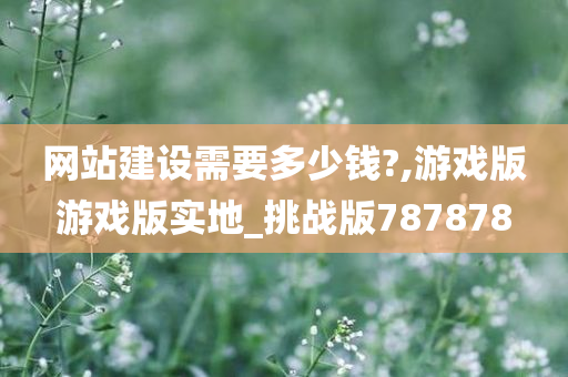 网站建设需要多少钱?,游戏版游戏版实地_挑战版787878