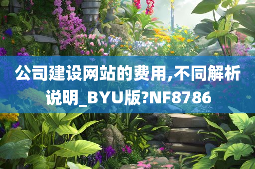 公司建设网站的费用,不同解析说明_BYU版?NF8786