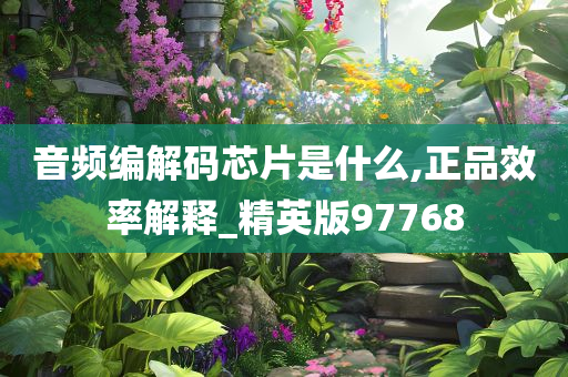 音频编解码芯片是什么,正品效率解释_精英版97768