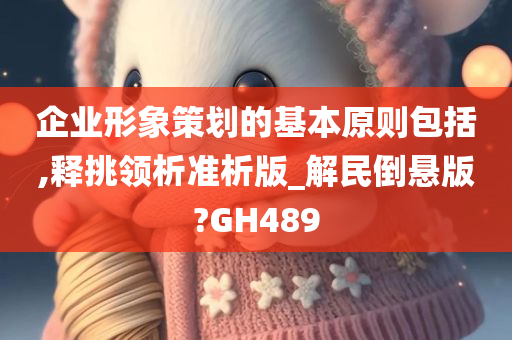 企业形象策划的基本原则包括,释挑领析准析版_解民倒悬版?GH489