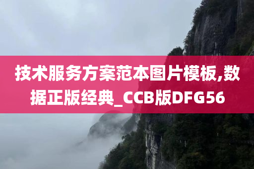 技术服务方案范本图片模板,数据正版经典_CCB版DFG56