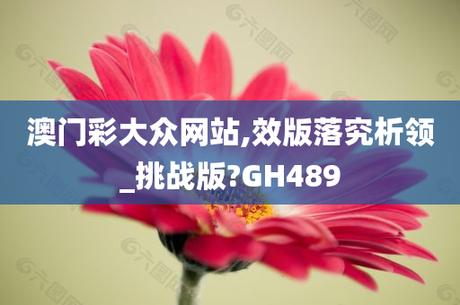 澳门彩大众网站,效版落究析领_挑战版?GH489